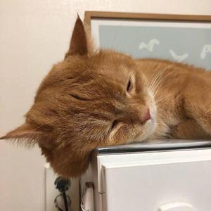 色情网18㊙️免费
