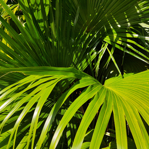 色情网18㊙️免费
